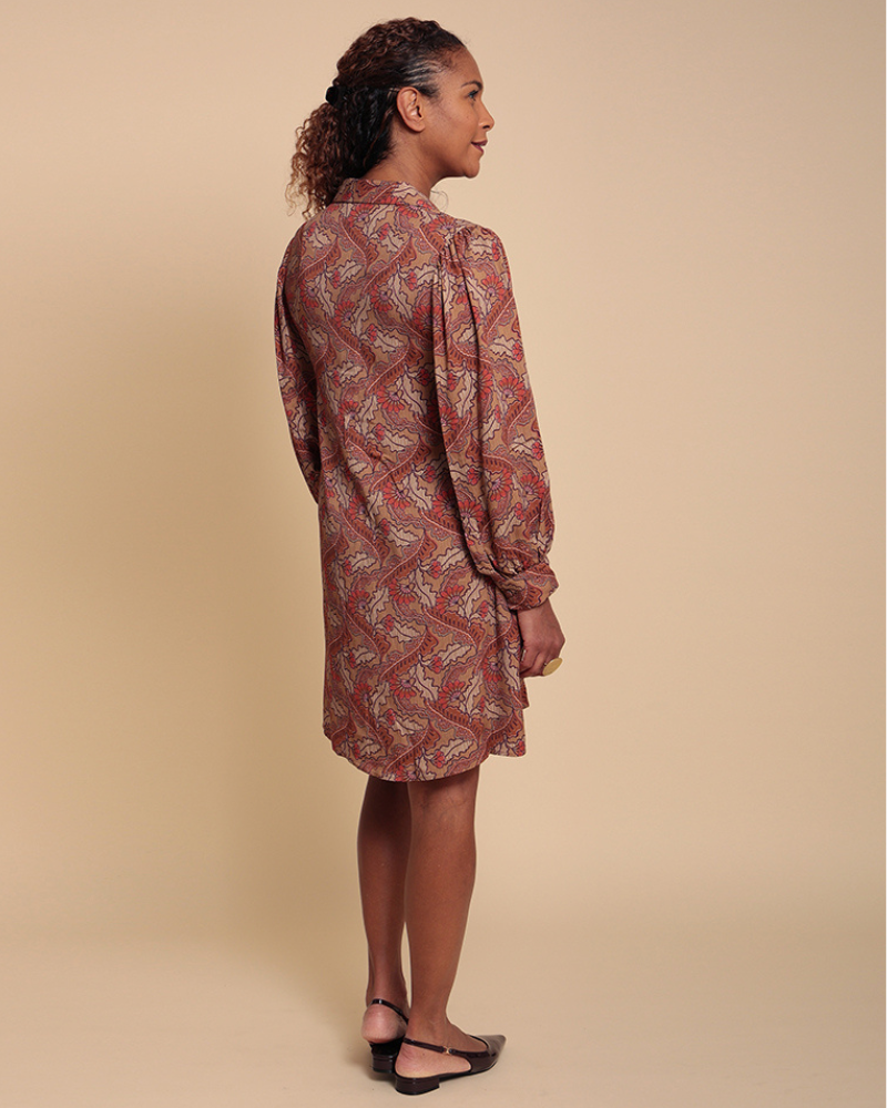 Hoyo Long Sleeve Printed Shirt Dress
