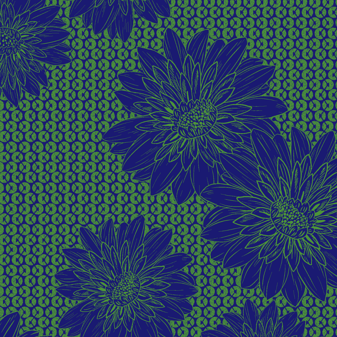 Daisy Blue